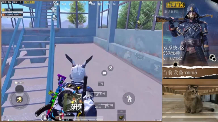 有点东西的大盘鸡 2020-09-29 13点场