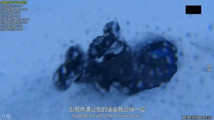【科普】酷炫你你你的精彩时刻 20200930 09点场