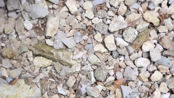 【美食】YESHI小哥的精彩时刻 20200930 09点场