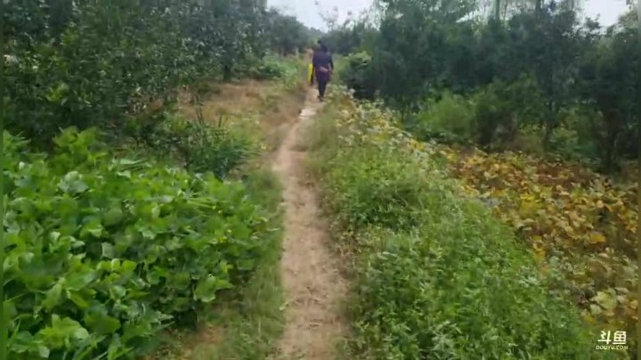 《纪实直播》云南边境行26天独龙乡 2020-09-30 13点场