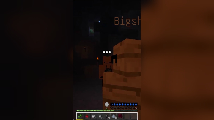 我的世界进化--石器时代第三集