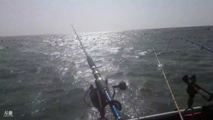 【美食】威海高哥587997的精彩时刻 20200930 09点场