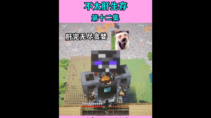 不太肝生存无尽贪婪篇第十二集