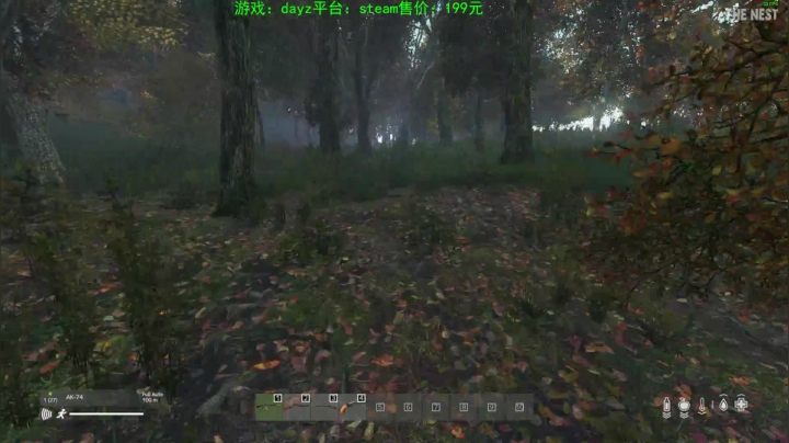 dayz (hardcore极限生存） 2020-09-29 16点场