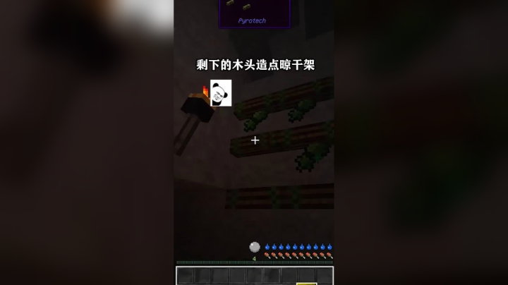 我的世界进化--石器时代第四集