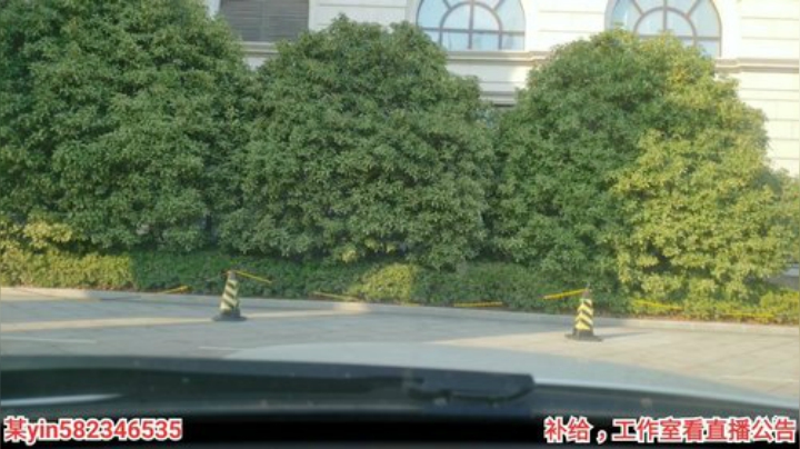 我在斗鱼看黑人毅直播户外