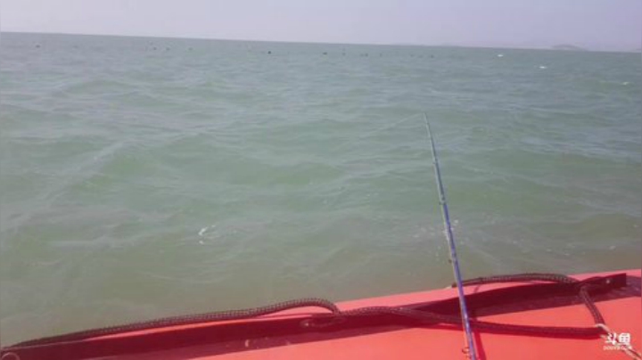 【美食】威海高哥587997的精彩时刻 20200930 11点场