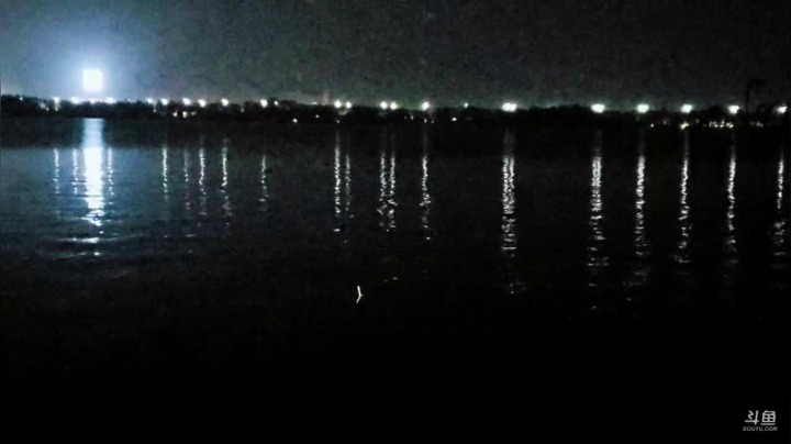 今晚我没去野钓 2020-09-29 21点场