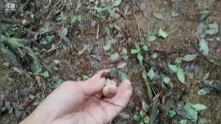 天气终于晴啦国庆快乐 2020-09-30 10点场