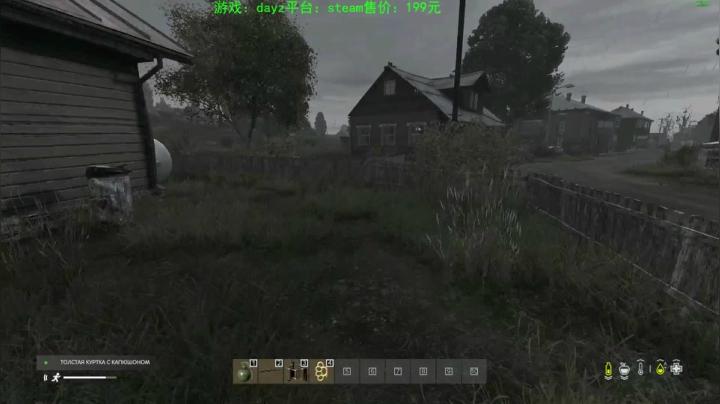 dayz (hardcore极限生存） 2020-09-30 20点场