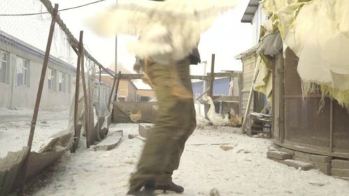 【美食】YESHI小哥的精彩时刻 20201001 09点场