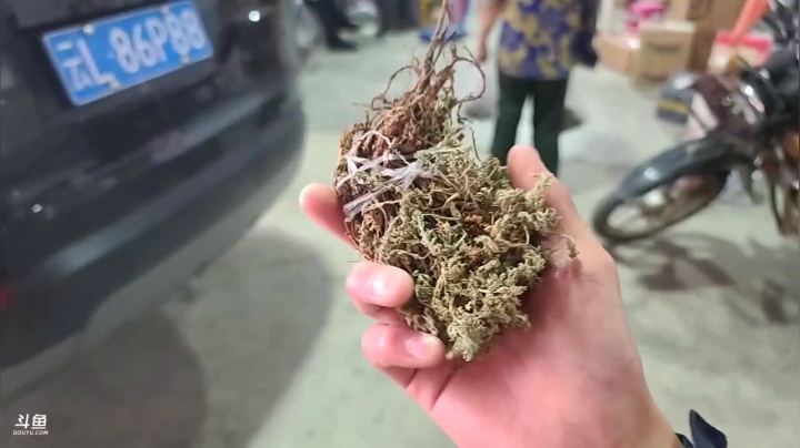 《纪实直播》云南边境怒江 2020-10-02 15点场