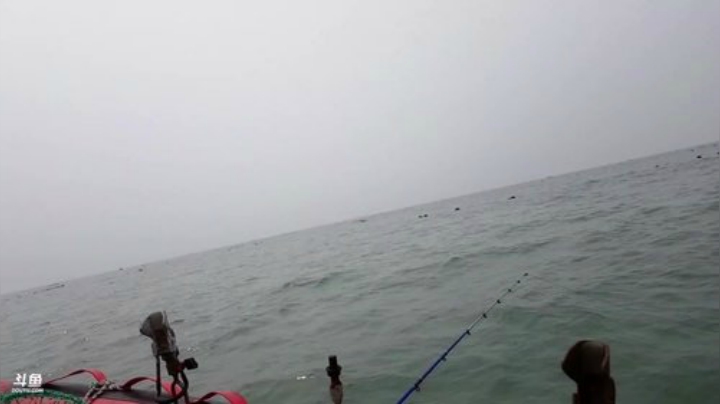 【美食】威海高哥587997的精彩时刻 20201002 11点场