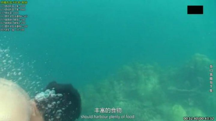 【科普】酷炫你你你的精彩时刻 20201002 17点场
