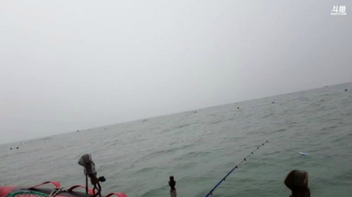 【美食】威海高哥587997的精彩时刻 20201002 11点场