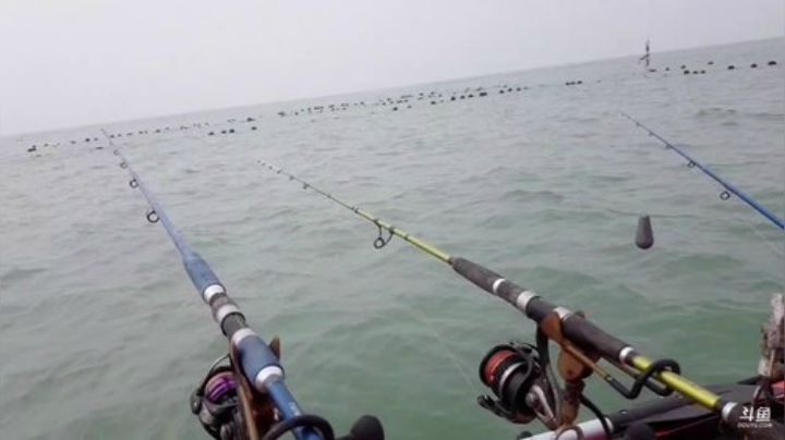 【美食】威海高哥587997的精彩时刻 20201002 11点场