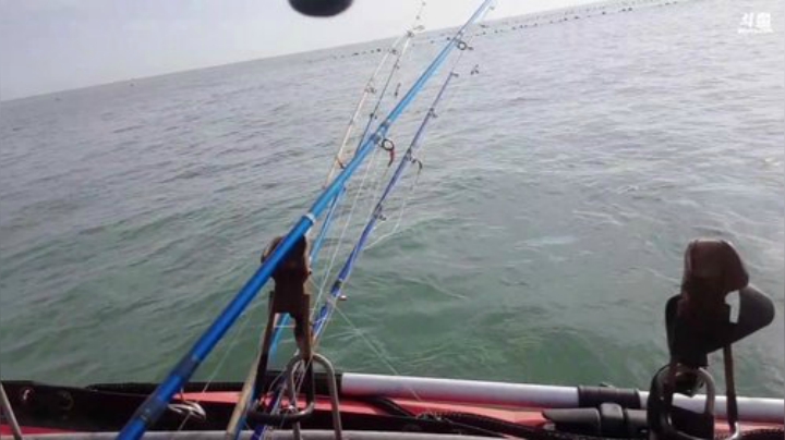 【美食】威海高哥587997的精彩时刻 20201003 08点场