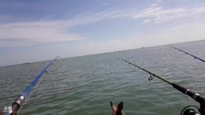 【美食】威海高哥587997的精彩时刻 20201003 10点场