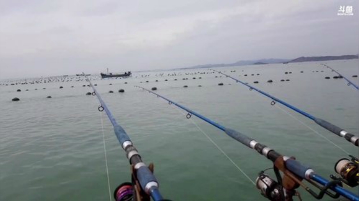 【美食】威海高哥587997的精彩时刻 20201003 12点场