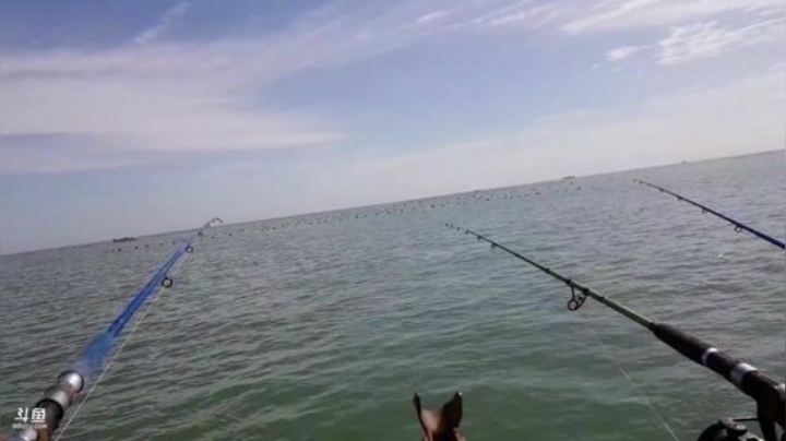 【美食】威海高哥587997的精彩时刻 20201003 10点场