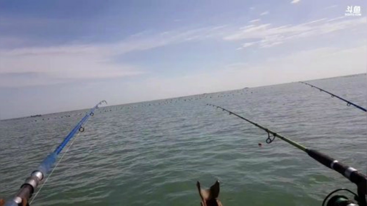 【美食】威海高哥587997的精彩时刻 20201003 10点场