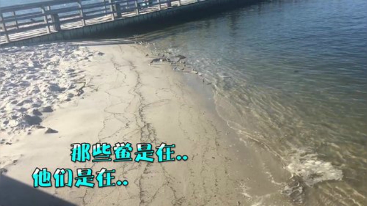 【炉石传说】wtybill的精彩时刻 20201003 07点场