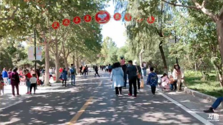 我在斗鱼看林蒙m直播王者荣耀