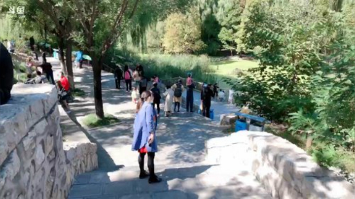 我在斗鱼看林蒙m直播王者荣耀