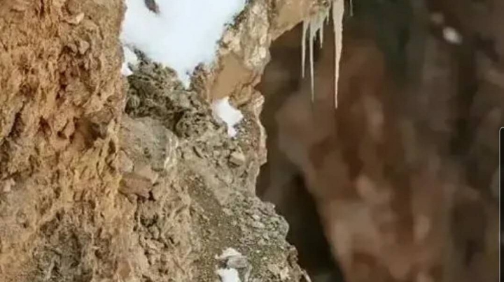 有