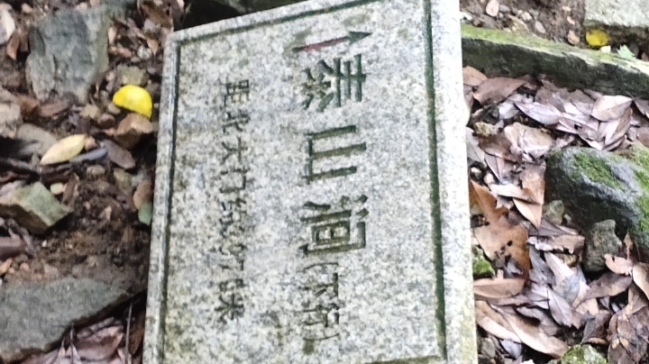 梧桐山
