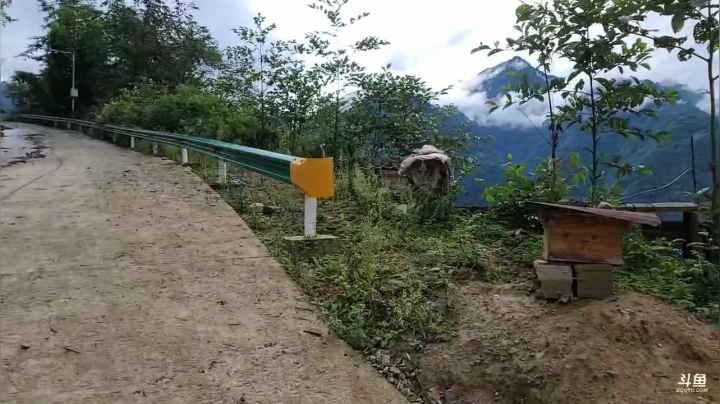 《纪实直播》云南边境怒江32
天 2020-10-05 17点场