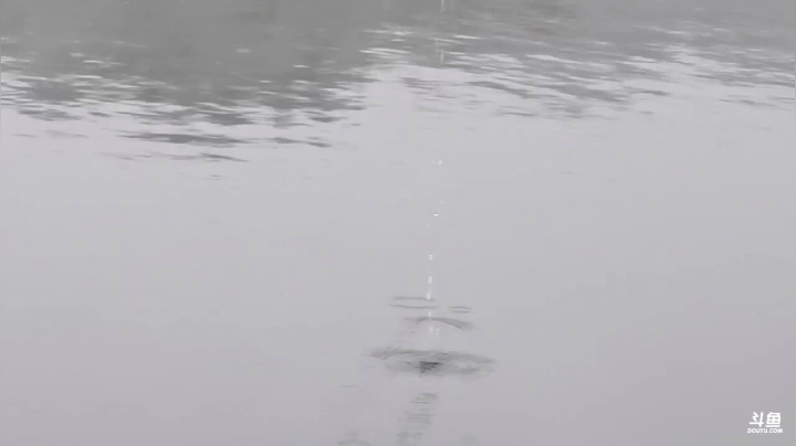大降温水库还能钓到鱼吗？ 2020-10-06 15点场