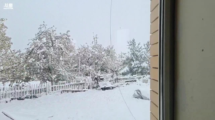 2020年的第一场雪。 2020-10-06 13点场