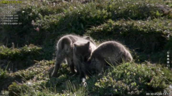 【科普】酷炫你你你的精彩时刻 20201006 18点场