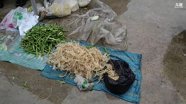 《纪实直播》云南边境怒江34
天 2020-10-07 11点场