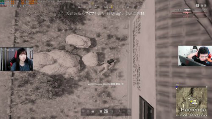 我在斗鱼看pigff直播和平精英