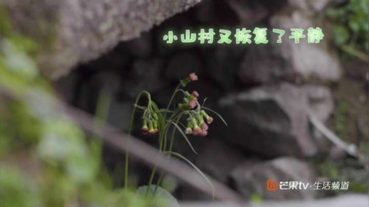 【美食】YESHI小哥的精彩时刻 20201007 11点场