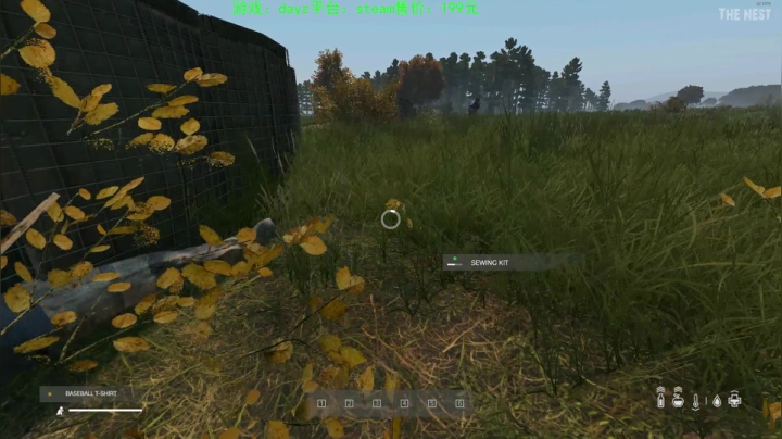dayz(珍惜僵尸末日来临前的每一刻） 2020-10-06 21点场