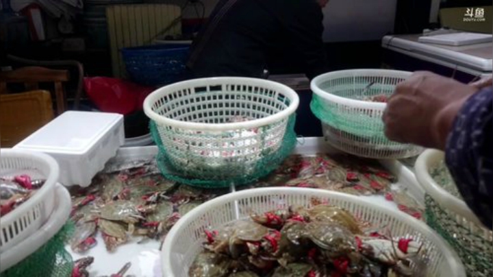 【美食】威海高哥587997的精彩时刻 20201008 14点场