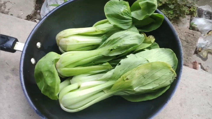 刚刚开始了 2020-09-30 05点场