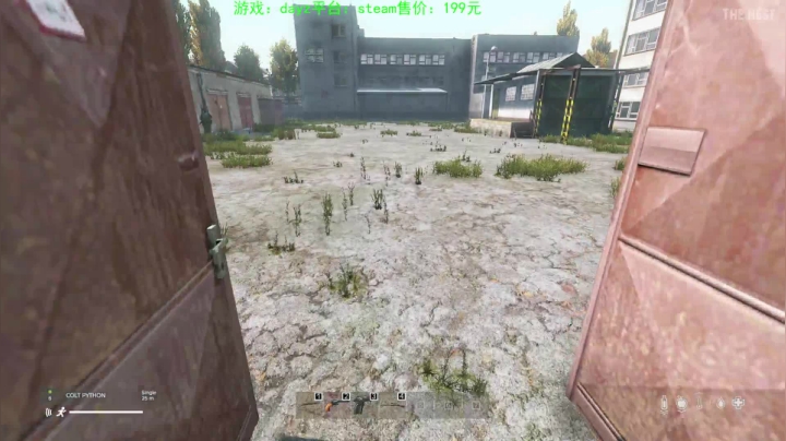 dayz(珍惜僵尸末日来临前的每一刻） 2020-10-08 17点场