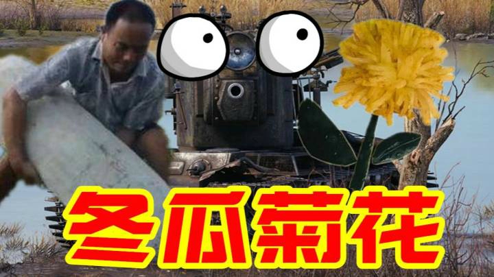 坦克世界 冬瓜止躁利水 菊花平肝散风