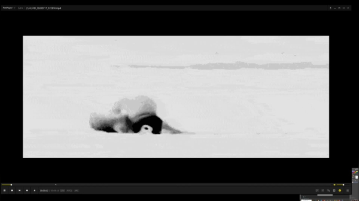 刚刚开始了 2020-10-02 10点场