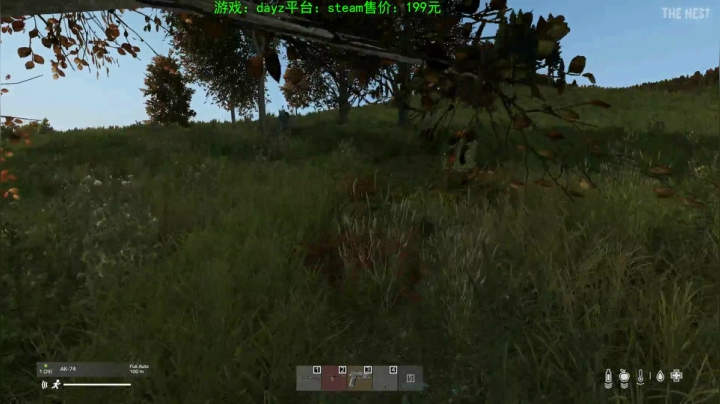 dayz(珍惜僵尸末日来临前的每一刻） 2020-10-09 17点场