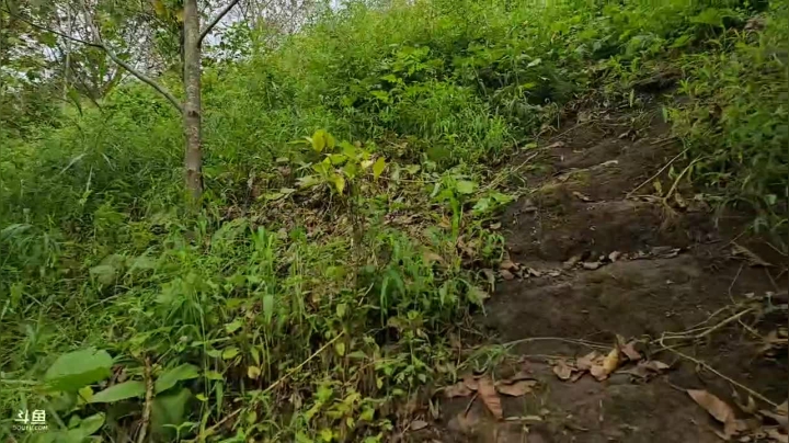 《纪实直播》云南边境怒江36天 2020-10-10 15点场