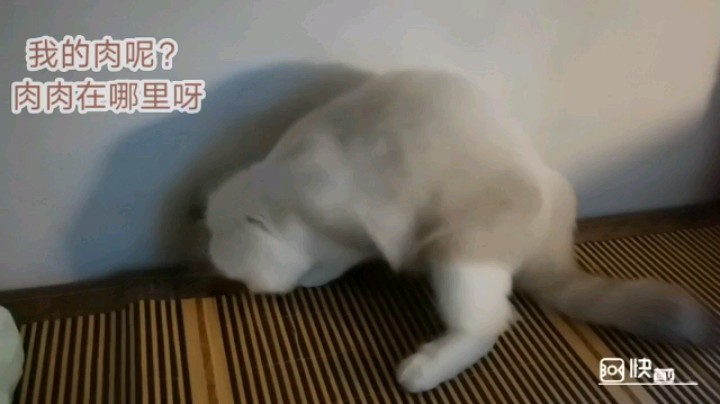 凉09651发布了一个斗鱼视频2020-10-11