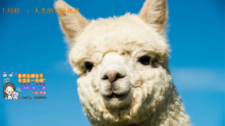 梦想过三星 2020-10-10 22点场