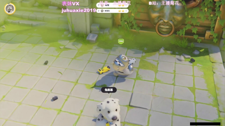 【菊花】一会玩吃鸡 先玩会动物派对 2020-10-11 21点场