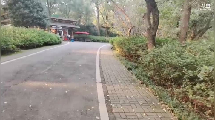姑姑:今天打卡武汉东湖磨山景区 2020-10-12 16点场