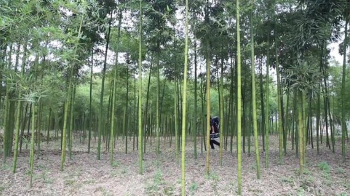 【美食】YESHI小哥的精彩时刻 20201012 08点场